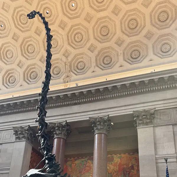 Barosaurus