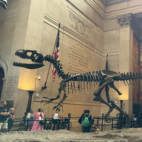Allosaurus