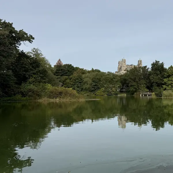 Turtle Pond in Central Park