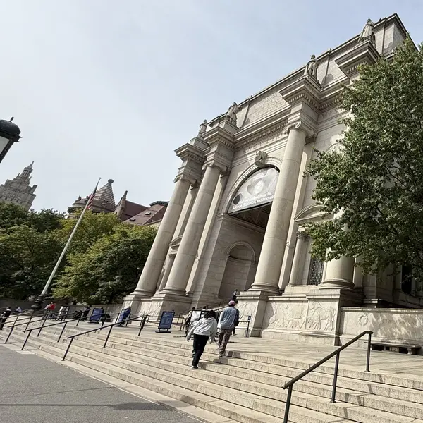 The American Museum of Natural History